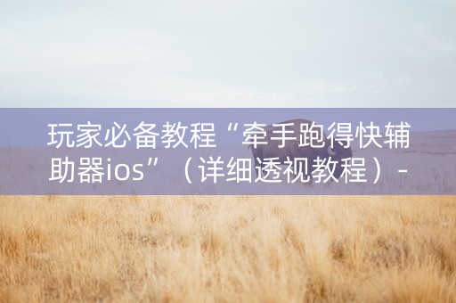 玩家必备教程“牵手跑得快辅助器ios”（详细透视教程）-哔哩哔哩