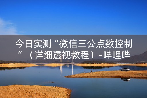 今日实测“微信三公点数控制”（详细透视教程）-哔哩哔哩