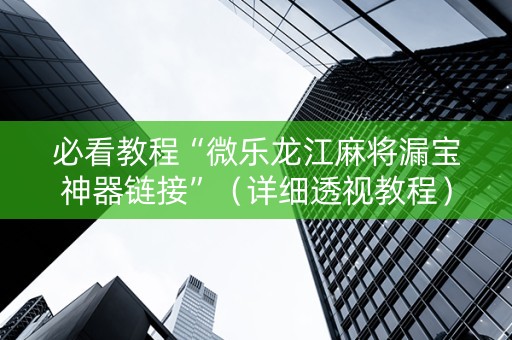 必看教程“微乐龙江麻将漏宝神器链接”（详细透视教程）-哔哩哔哩