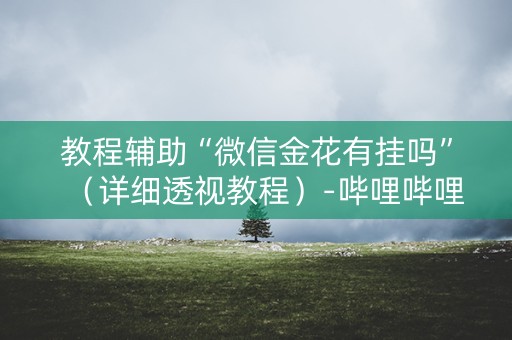 教程辅助“微信金花有挂吗”（详细透视教程）-哔哩哔哩