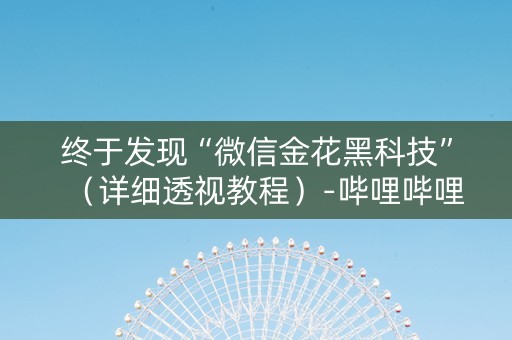 终于发现“微信金花黑科技”（详细透视教程）-哔哩哔哩
