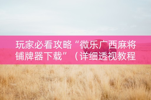 玩家必看攻略“微乐广西麻将铺牌器下载”（详细透视教程）-哔哩哔哩