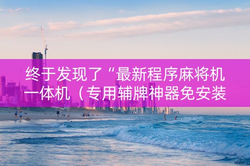 终于发现了“最新程序麻将机一体机（专用辅牌神器免安装）