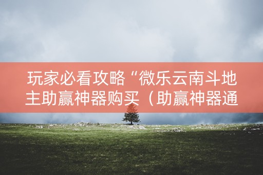 玩家必看攻略“微乐云南斗地主助赢神器购买（助赢神器通用版）
