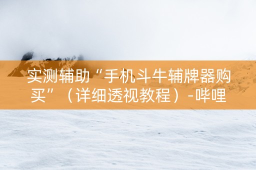 实测辅助“手机斗牛辅牌器购买”（详细透视教程）-哔哩哔哩
