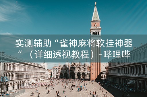 实测辅助“雀神麻将软挂神器”（详细透视教程）-哔哩哔哩