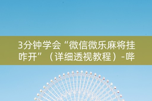 3分钟学会“微信微乐麻将挂咋开”（详细透视教程）-哔哩哔哩