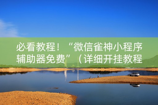 必看教程！“微信雀神小程序辅助器免费”（详细开挂教程）-哔哩哔哩