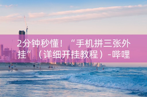 2分钟秒懂！“手机拼三张外挂”（详细开挂教程）-哔哩哔哩