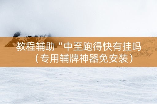 教程辅助“中至跑得快有挂吗（专用辅牌神器免安装）
