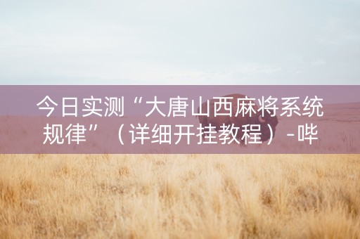 今日实测“大唐山西麻将系统规律”（详细开挂教程）-哔哩哔哩
