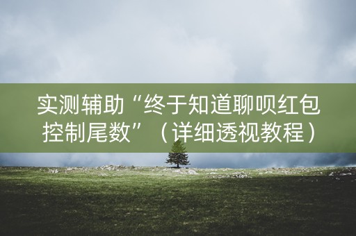 实测辅助“终于知道聊呗红包控制尾数”（详细透视教程）-哔哩哔哩