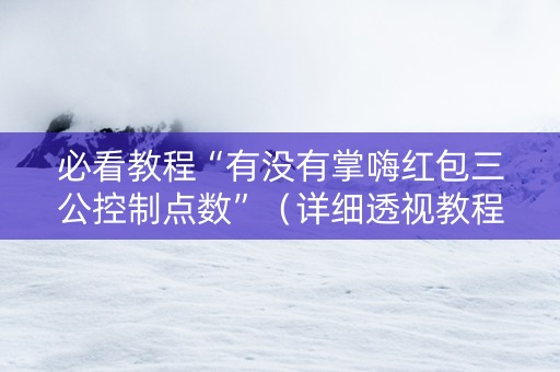 必看教程“有没有掌嗨红包三公控制点数”（详细透视教程）-哔哩哔哩
