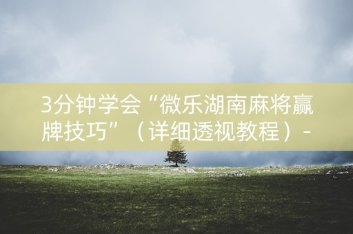 3分钟学会“微乐湖南麻将赢牌技巧”（详细透视教程）-哔哩哔哩
