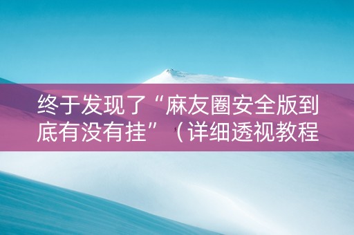 终于发现了“麻友圈安全版到底有没有挂”（详细透视教程）-哔哩哔哩
