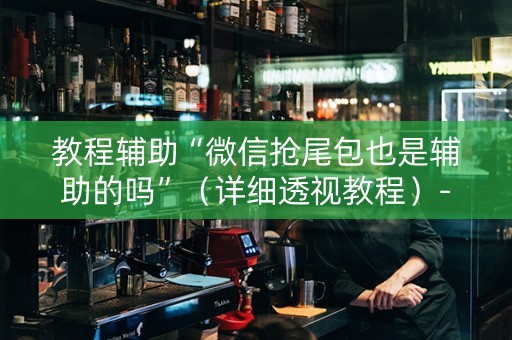教程辅助“微信抢尾包也是辅助的吗”（详细透视教程）-哔哩哔哩