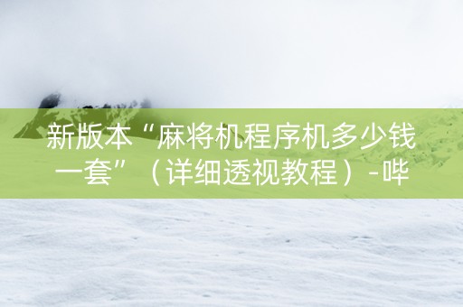 新版本“麻将机程序机多少钱一套”（详细透视教程）-哔哩哔哩