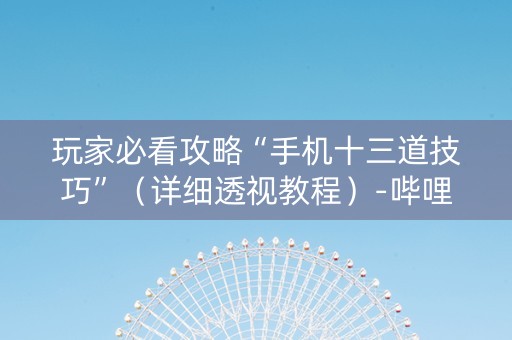 玩家必看攻略“手机十三道技巧”（详细透视教程）-哔哩哔哩