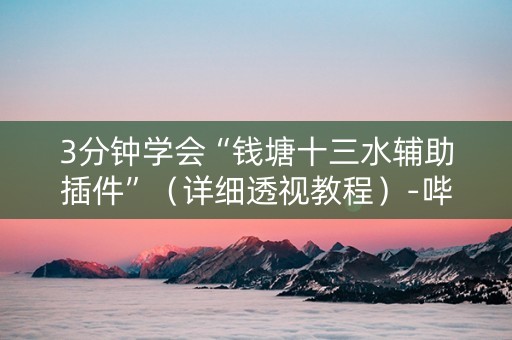 3分钟学会“钱塘十三水辅助插件”（详细透视教程）-哔哩哔哩