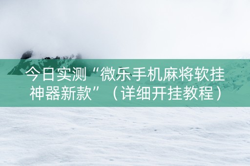 今日实测“微乐手机麻将软挂神器新款”（详细开挂教程）-哔哩哔哩