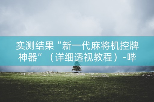 实测结果“新一代麻将机控牌神器”（详细透视教程）-哔哩哔哩