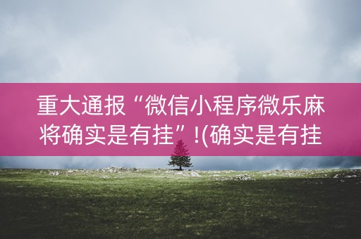 重大通报“微信小程序微乐麻将确实是有挂”!(确实是有挂)-知乎