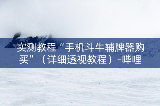实测教程“手机斗牛辅牌器购买”（详细透视教程）-哔哩哔哩