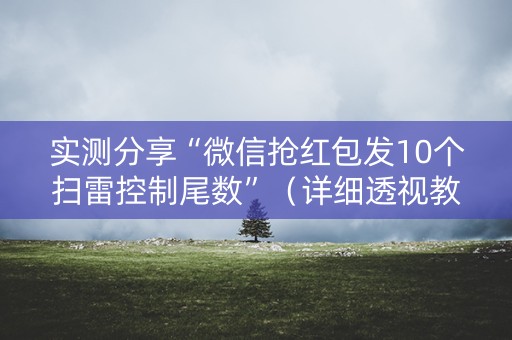 实测分享“微信抢红包发10个扫雷控制尾数”（详细透视教程）-哔哩哔哩