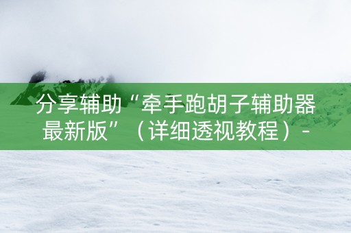 分享辅助“牵手跑胡子辅助器最新版”（详细透视教程）-哔哩哔哩