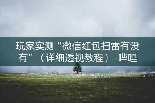 玩家实测“微信红包扫雷有没有”（详细透视教程）-哔哩哔哩