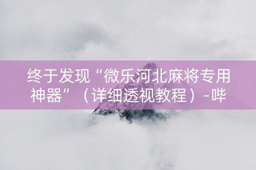 终于发现“微乐河北麻将专用神器”（详细透视教程）-哔哩哔哩
