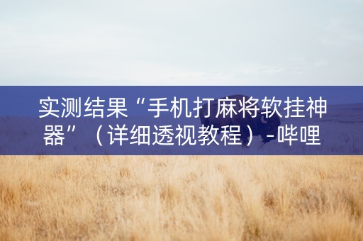 实测结果“手机打麻将软挂神器”（详细透视教程）-哔哩哔哩