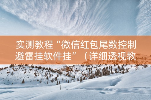 实测教程“微信红包尾数控制避雷挂软件挂”（详细透视教程）-哔哩哔哩