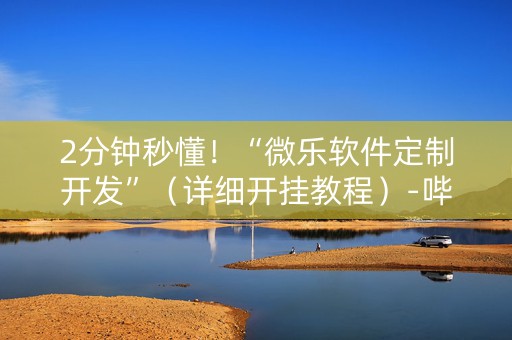 2分钟秒懂！“微乐软件定制开发”（详细开挂教程）-哔哩哔哩