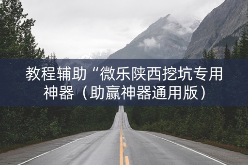 教程辅助“微乐陕西挖坑专用神器（助赢神器通用版）