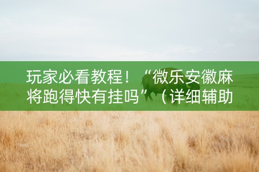 玩家必看教程！“微乐安徽麻将跑得快有挂吗”（详细辅助教程）-哔哩哔哩