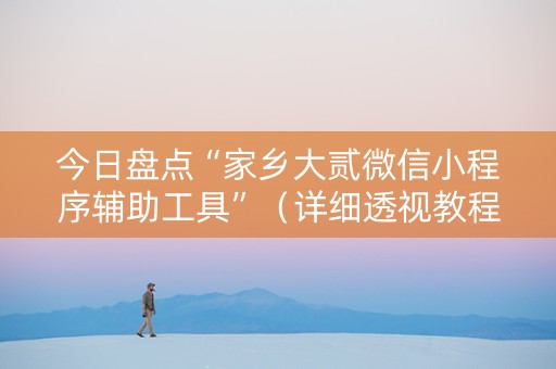 今日盘点“家乡大贰微信小程序辅助工具”（详细透视教程）-哔哩哔哩
