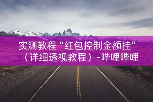 实测教程“红包控制金额挂”（详细透视教程）-哔哩哔哩