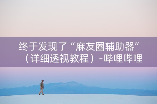 终于发现了“麻友圈辅助器”（详细透视教程）-哔哩哔哩