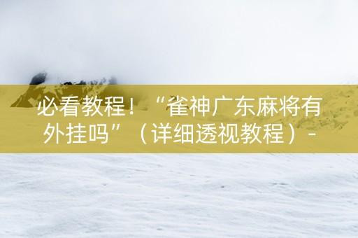 必看教程！“雀神广东麻将有外挂吗”（详细透视教程）-哔哩哔哩
