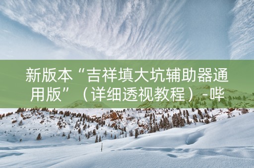 新版本“吉祥填大坑辅助器通用版”（详细透视教程）-哔哩哔哩