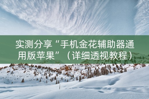 实测分享“手机金花辅助器通用版苹果”（详细透视教程）-哔哩哔哩