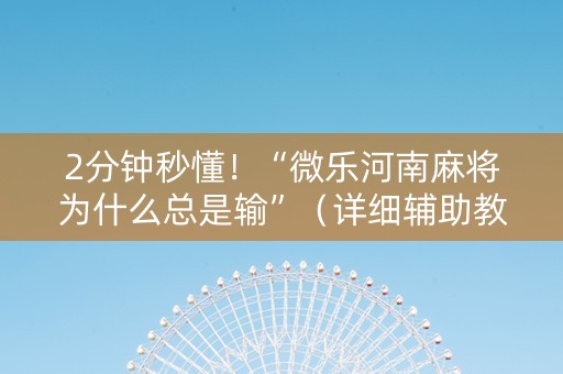 2分钟秒懂！“微乐河南麻将为什么总是输”（详细辅助教程）-哔哩哔哩