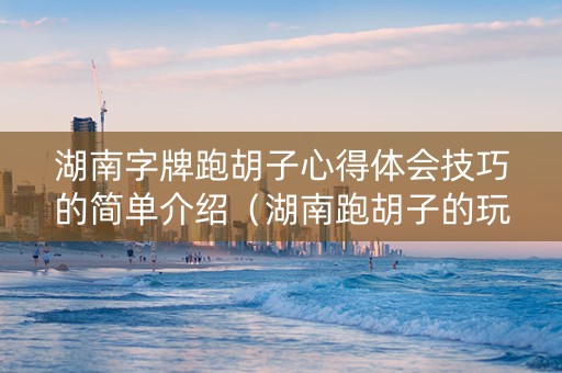 湖南字牌跑胡子心得体会技巧的简单介绍（湖南跑胡子的玩牌技巧）