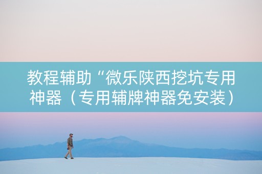 教程辅助“微乐陕西挖坑专用神器（专用辅牌神器免安装）
