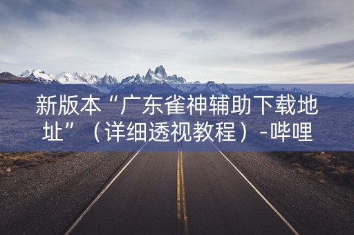 新版本“广东雀神辅助下载地址”（详细透视教程）-哔哩哔哩