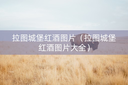 拉图城堡红酒图片（拉图城堡红酒图片大全）