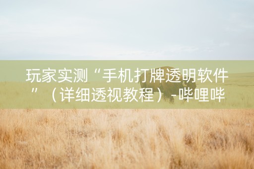 玩家实测“手机打牌透明软件”（详细透视教程）-哔哩哔哩