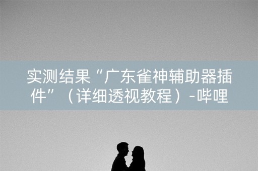 实测结果“广东雀神辅助器插件”（详细透视教程）-哔哩哔哩
