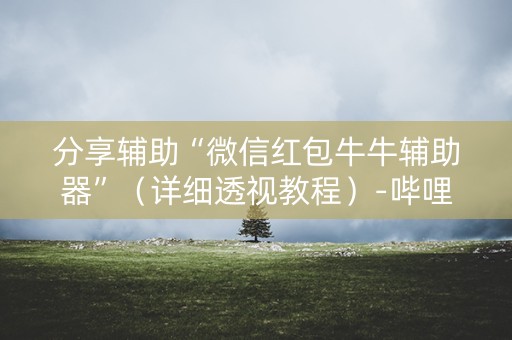 分享辅助“微信红包牛牛辅助器”（详细透视教程）-哔哩哔哩